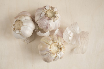 Garlic on wood background