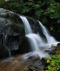 Fototapeta premium Waterfall at the carpatian mountains green forest