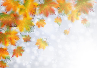 Autumn leaves background