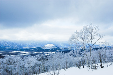 冬の摩周湖外輪山の樹氷（北海道）