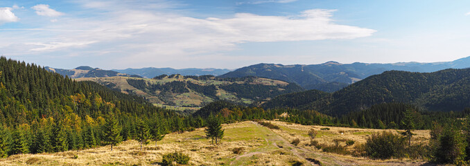 Fototapeta premium Carpatian mountains village at green forest