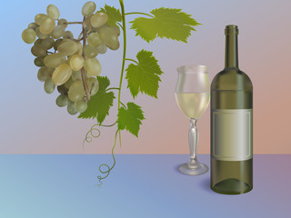 Wine background with bottle and grapes. Vector illustration