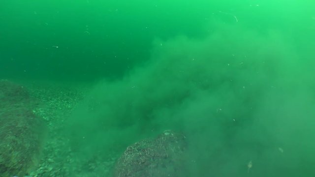 It looks like an underwater explosion: A cloud of turbidity raised from the bottom is slowly blurring by the current.
