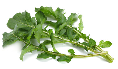 green fresh rucola leaves isolated on white background. Rocket salad or arugula.