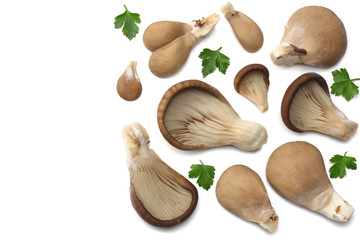 Oyster mushrooms isolated on white background. top view