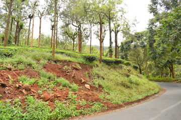 Obraz premium natural scenaries