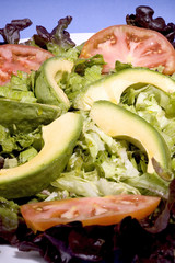 Ensalada verde con aguacate