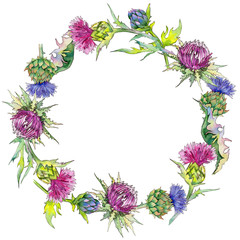 Wildflower thistle flower wreath in a watercolor style. Full name of the plant: thistle. Aquarelle wild flower for background, texture, wrapper pattern, frame or border.