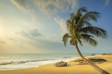 sunset and golden beach with palm tree in Thailand