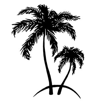 Monochrome black and white two tropical palm tree sea ocean beach hand drawn sketch vector