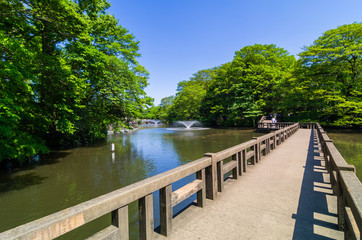 Fototapeta premium 井の頭公園 井の頭池