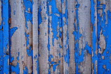 Blue wood texture. Old wood texture.