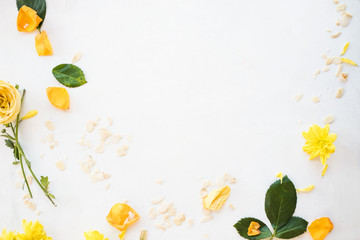 floral design. white background. negative space concept. flowers and petals frame