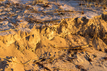 Morning sunshine warming up the cold and frosty sand beach. Parts of reed and roots slows down the occurring sand erosion.