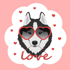 Dog with heart shaped glasses and red word 'love'. Black and white Siberian husky with blue eyes. Valentine's day greeting card. Vector illustration