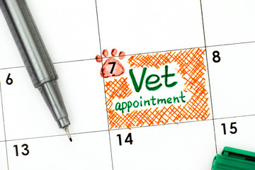Reminder Vet Appointment in calendar with green pen.
