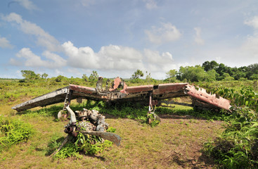 Japanese airplane fighter wreck  from the period of the Second World War on the Micronesian Yap island
 - obrazy, fototapety, plakaty