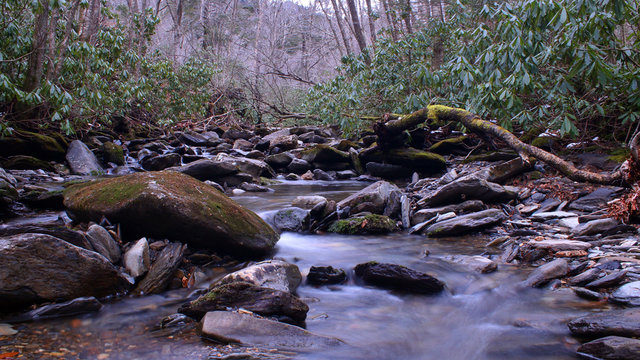 Small River with Moss Covered Stones in the Deep Woods of the Great Smokey Mountains National Park.