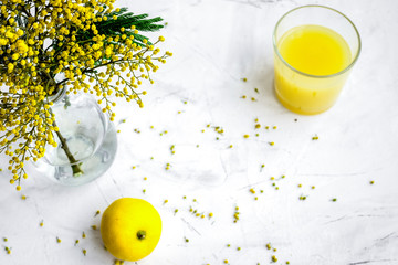 mimosa in glass vase on white background top view