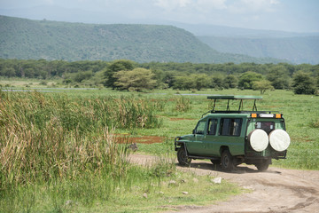 Safari game drive in Manyara national park, Tanzania © ilyaska