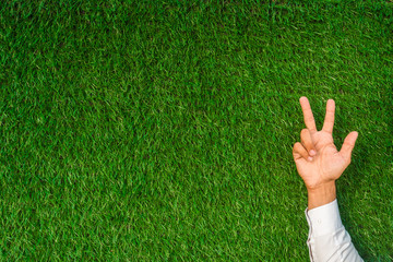 Hand with three fingers up count and a blank on a green grass background. Number 3