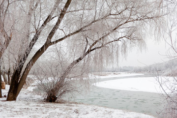 Winter landscape of a white snowy shore of a river. December day with frozen weather. Pure and clean nature in minimalism concept.