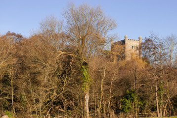 A reconstructed part of Abergavenny castle in south wales which now serves as the town museum. The winter can be seen in the color of the trees