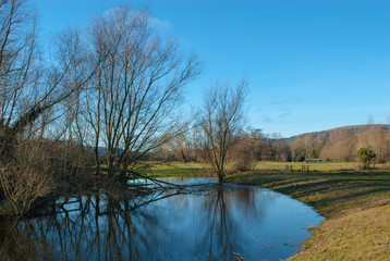 Obraz premium A scenic shot of trees reflecting on water in the rural area of Abergavenny in South Wales