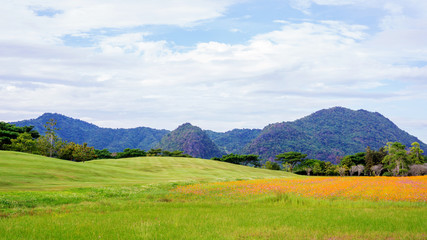 Fototapeta na wymiar mountain range and meadow at Singha park Chiang rai, Thailand.
