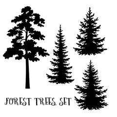 Fir and Pine Trees Set, Black Silhouettes Isolated on White Background. Vector