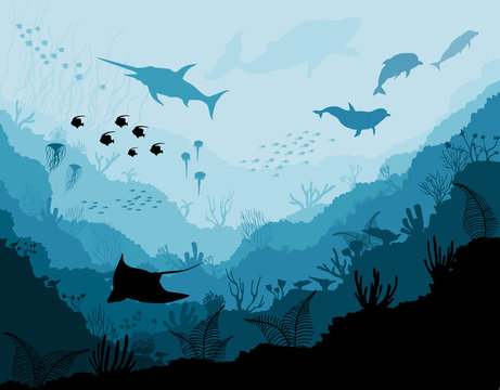 Underwater wildlife, Scat, shark, dolphins