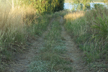 Rural roads with floating wheels and grass in the middle.
