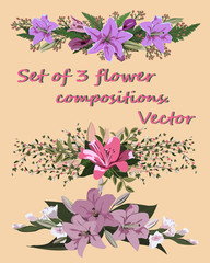 Set of floral compositions. Different flowers, leaves and flowering branches. Plant cells are assembled in decorative bouquets. Vector illustration. Greeting cards, business cards, notepads, etc.