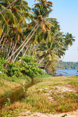 The Backwaters of Kerala near Varkala