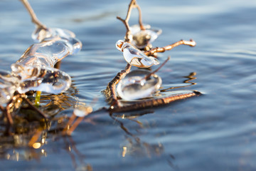 Liquid art from nature.