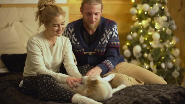 Happy caucasian man and woman playing with their funny dog in bedroom petting puppy making home comfort warm and coziness in winter holiday
