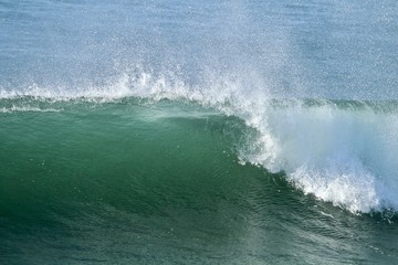 Fototapeta na wymiar Blue green wave curl