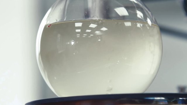 Light liquid is bubbling in a flask under laboratory conditions. Quality control in the laboratory at factory of sparkling wines. Bulb with boiling liquid close-up.