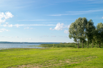 Blue river with forest trees on background