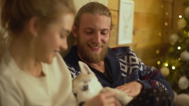 Happiness and fun of good kind people man and woman playing with husky puppy having fun during family Christmas evening at their cozy home