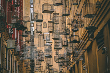 hanging bird cages