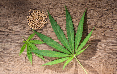 Leaves and seeds of marijuana against a background of wood texture.