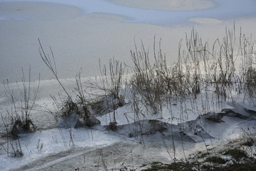 Eisfläche mit Gräsern am See