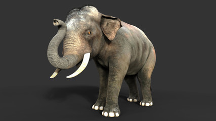 Fototapeta na wymiar 3d Illustration elephant isolate on back background, Elephant in dark with clipping path.
