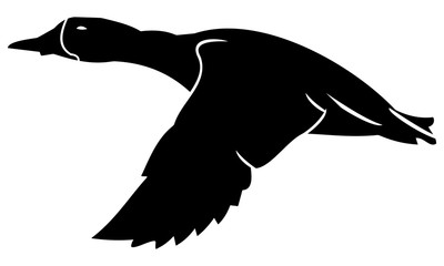 silhouette of flying ducks