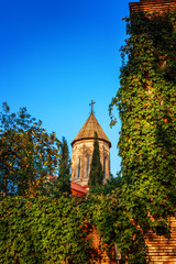 Obraz premium he Ejmiatsin Church of Armenian Apostolic church, surrounded by sypresses, located in Avlabari District, Tbilisi, Georgia