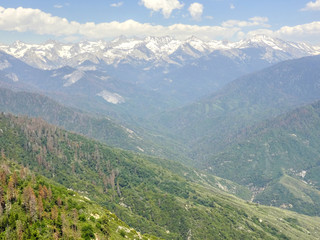 Fototapeta premium Yosemite National Park