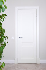 White door and switch on a light gray wall. The bright elements of the interior. Branches with leaves of a house plant