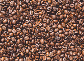 Organic roasted coffee beans. Background and space for text