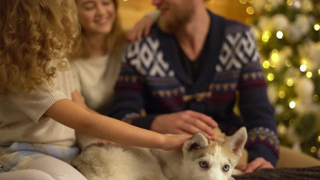 Closeup picture of amazing family resting in their living room with decorated Christmas tree for lovely holidays, little girl petting husky dog lying on bed